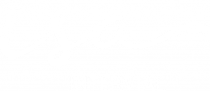 Logo proyecto